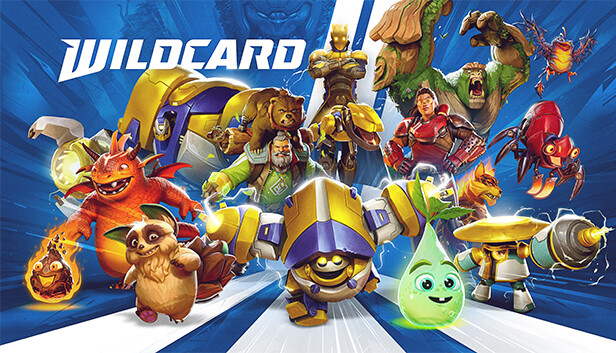 Wildcard