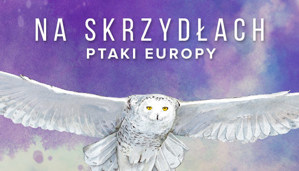 Wingspan: European Expansion