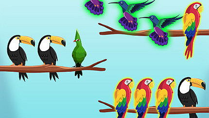 Graj w Bird Sort Challenges online za darmo