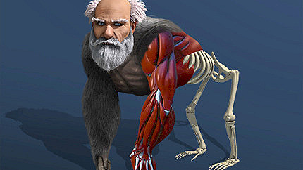 Graj w Idle Evolution From Cell to Human online za darmo