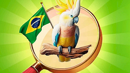 Graj w Hidden Objects: Vacation in Brazil online za darmo