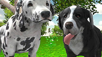 Graj w Dog Simulator 3D online za darmo
