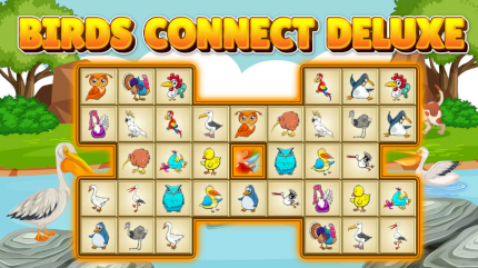 Birds Connect Deluxe