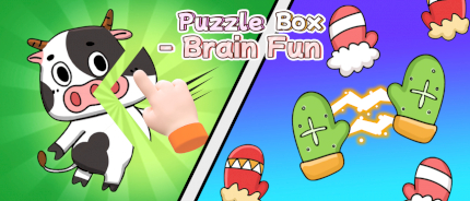 Puzzle Box Brain Fun