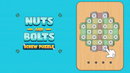 Nuts And Bolts Screw Puzzle