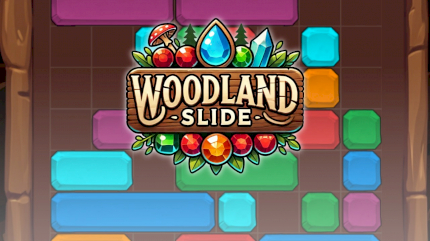 Woodland Slide