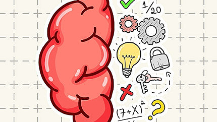 Graj w Brain Tricky Puzzles online za darmo