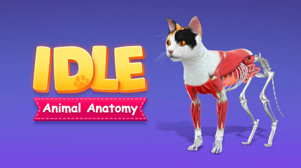 IDLE Animal Anatomy