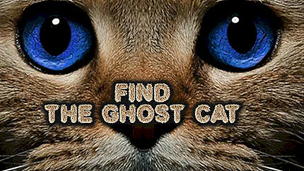 Graj w Find the Ghost Cat online za darmo
